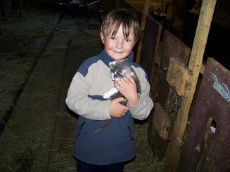 Beschreibung: D:\homepagefertig\sicherung2017\heute\katze.JPG